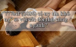 777bet (2026) có uy tín không so với các đối thủ cùng ngành