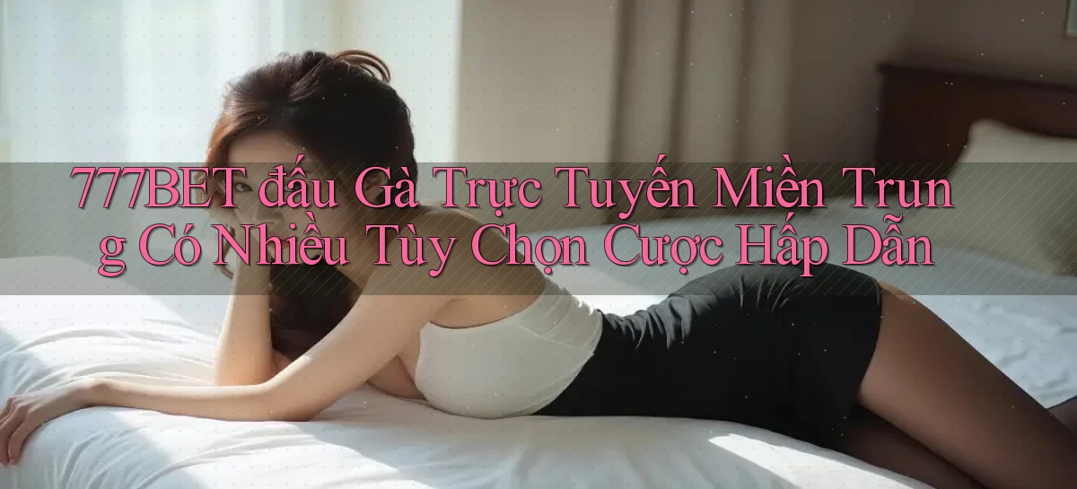 777bet  đấu gà trực tuyến miền trung có nhiều tùy chọn cược hấp dẫn