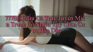 777bet  đấu gà trực tuyến miền trung có nhiều tùy chọn cược hấp dẫn