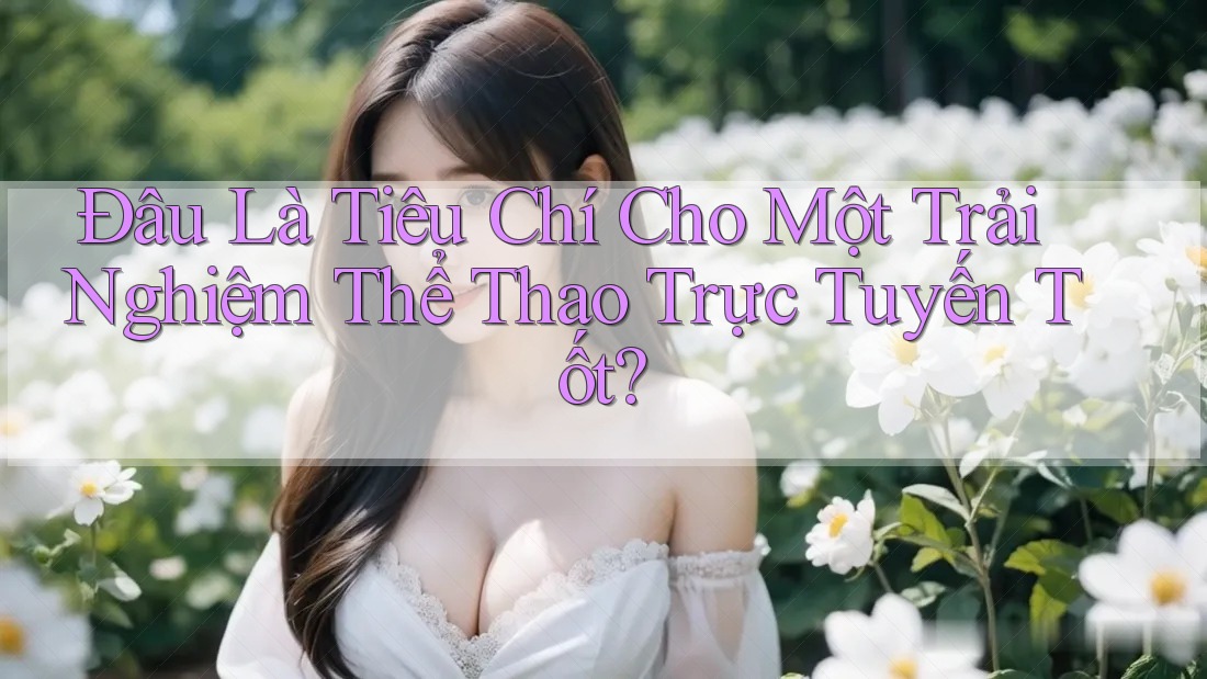 Đâu Là Tiêu Chí Cho Một Trải Nghiệm Thể Thao Trực Tuyến Tốt?