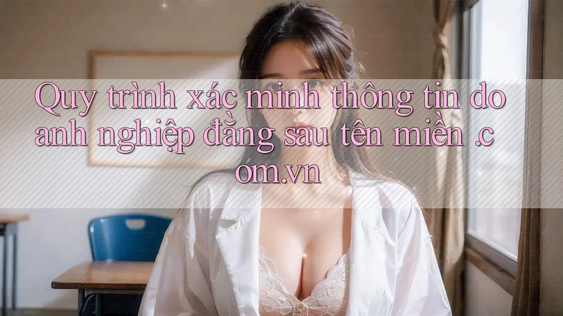 Quy trình xác minh thông tin doanh nghiệp đằng sau tên miền. com. vn Quy trình xác minh thông tin doanh nghiệp đằng sau tên miền. com. vn
