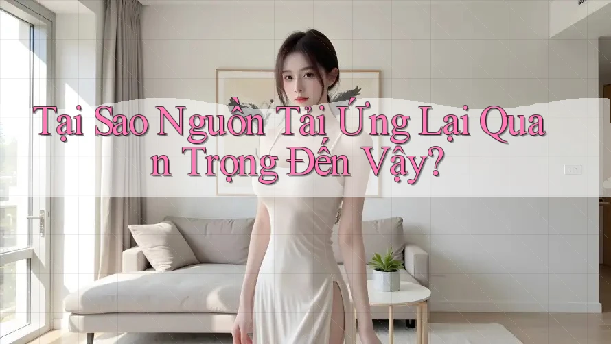 Tại Sao Nguồn Tải Ứng Lại Quan Trọng Đến Vậy?
