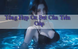 tổng hợp ox bet cần tiền gấp