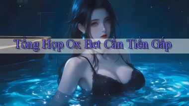 tổng hợp ox bet cần tiền gấp