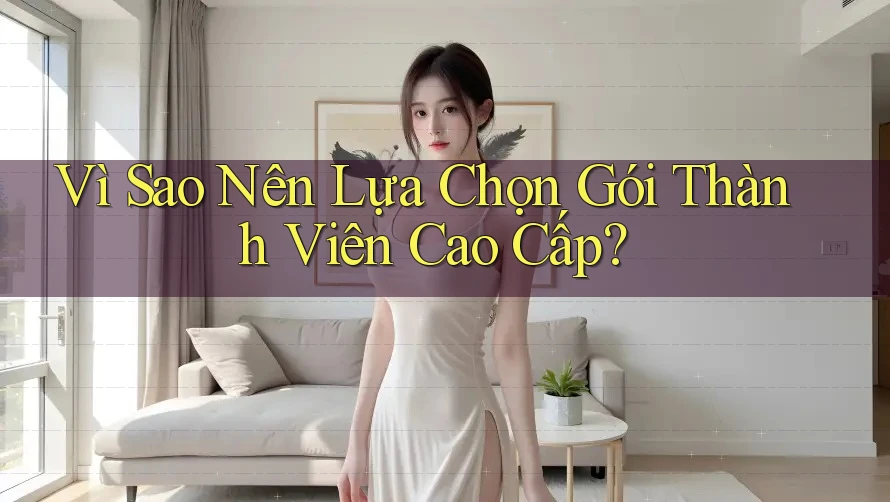 Vì Sao Nên Lựa Chọn Gói Thành Viên Cao Cấp?