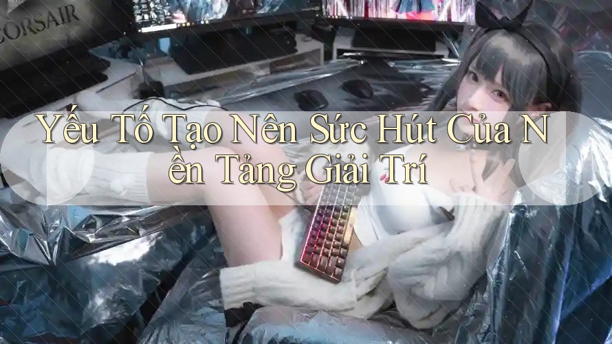 Yếu Tố Tạo Nên Sức Hút Của Nền Tảng Giải Trí